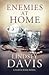 Enemies at Home by Lindsey Davis