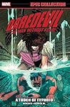 Daredevil Epic Collection, Vol. 13 by Ann Nocenti