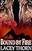 Bound by Fire (Demon Chronicles, Book One)