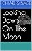 Looking Down On The Moon (T...
