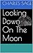 Looking Down On The Moon (The Moon Series Book 1)