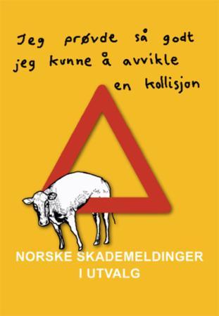 jeg prøvde så godt jeg kunne å avvilke kollisjon: NORSKE SKADEMELDINGER I UTVALG