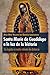 Santa María de Guadalupe a la luz de la historia