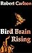 Bird Brain Rising