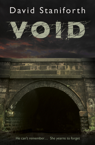 Void (Kindle Edition)