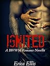 Ignited: A BWWM Romance Novella