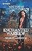 Enchanted Warrior (Camelot ...