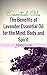 Essential Oils: Benefits of Lavender Essential Oil for the Mind, Body and Spirit: Disover Physical and Metaphysical Aromatherapy Recipes for Spiritual Cleansing, Concentration and Attraction