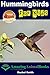 Hummingbirds For Kids (Amaz...