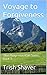 Voyage to Forgiveness (Blue Ridge Mountain Series Book 3)