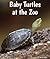 Baby Turtles at the Zoo (All About Baby Zoo Animals)