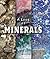 A Look at Minerals (The Rock Cycle)
