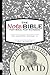 The NoteBible: Special Edition - The Story of David