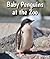 Baby Penguins at the Zoo (All About Baby Zoo Animals)