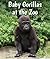 Baby Gorillas at the Zoo (All About Baby Zoo Animals)