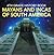 4th Grade History Book: Mayans and Incas of South America: Fourth Grade Books Ancient Civilizations (Children's Ancient History Books)