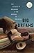 Big Dreams by Kelly Bulkeley