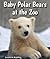 Baby Polar Bears at the Zoo (All About Baby Zoo Animals)