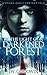 By The Light Of A Darkened Forest: A Fantasy Adventure