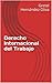 Derecho Internacional del Trabajo (Spanish Edition)