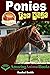 Ponies For Kids: Amazing An...