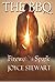 Fireworks Spark by Joyce  Stewart