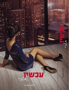 עכשיו תורי (ebook)