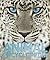 Animal Encyclopedia