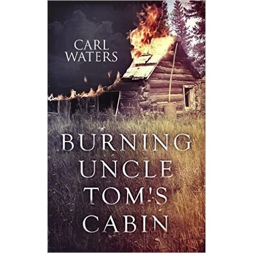 Burning Uncle Tom S Cabin By Carl Waters