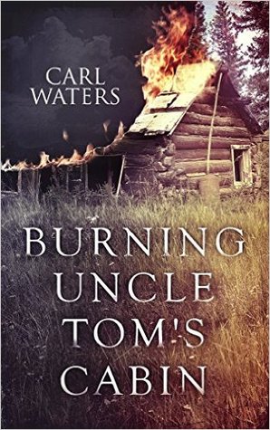 Burning Uncle Tom's Cabin (Kindle Edition)