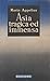 Asia tragica ed immensa