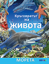 Морета (Кръговратът на живота)