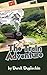 The Train Adventure