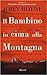 Il bambino in cima alla mon...