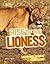 Rise of the Lioness: Restoring a Habitat and its Pride on the Liuwa Plains