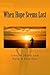 When Hope Seems Lost by Denise Shick