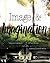 Image & Imagination: Ideas and Inspiration for Teen Writers