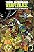 Teenage Mutant Ninja Turtles: New Animated Adventures Omnibus, Vol. 1