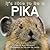 It's Nice to Be a Pika
