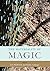 The Materiality of Magic: An artifactual investigation into ritual practices and popular beliefs
