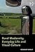 Rural Modernity, Everyday Life and Visual Culture
