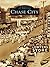 Chase City (Images of America: Virginia)