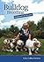 Bulldog Breeding Beginners and Beyond