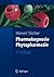 Pharmakognosie - Phytopharmazie (Springer-Lehrbuch) by Rudolf Hänsel
