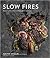 Slow Fires by Justin Smillie