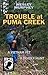 Trouble at Puma Creek: A Vietnam Vet - a Deadly Hunt