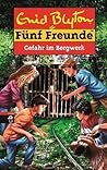 Fünf Freunde - Gefahr im Bergwerk (Einzelbände 68)