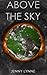 Above the Sky (Above the Sky #1)