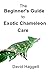 The Beginner's Guide to Exotic Chameleon Care