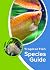 Tropical Fish Species Guide
